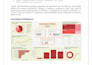 perform custom data analysis, visualization, and reporting